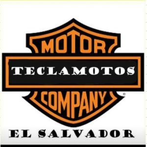 Logo TeclaMoto